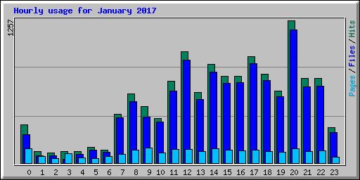 Hourly usage for January 2017