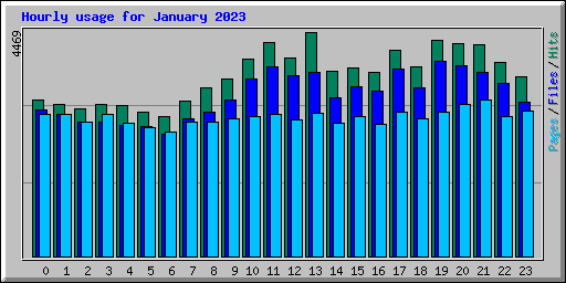 Hourly usage for January 2023