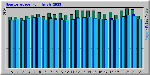 Hourly usage for March 2023