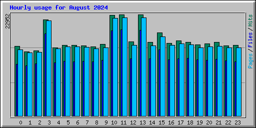 Hourly usage for August 2024