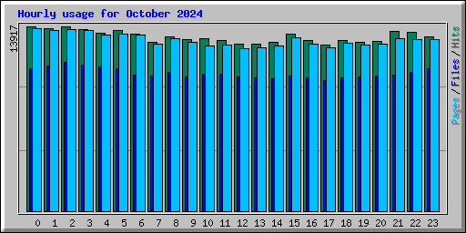 Hourly usage for October 2024