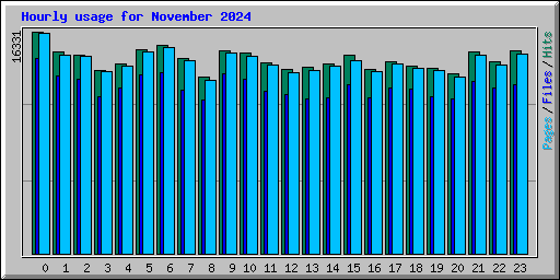 Hourly usage for November 2024