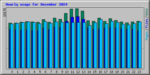 Hourly usage for December 2024