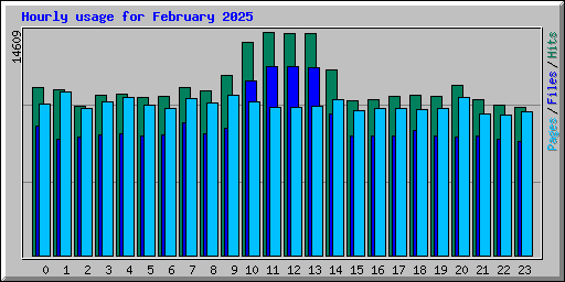 Hourly usage for February 2025