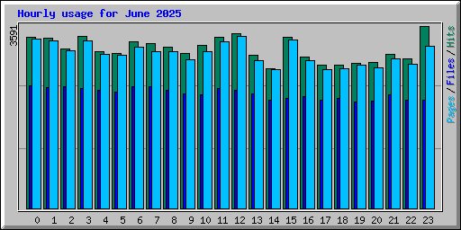 Hourly usage for June 2025