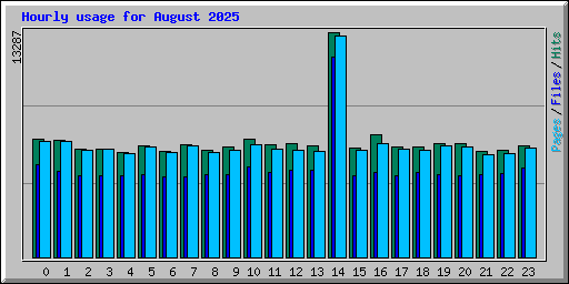 Hourly usage for August 2025
