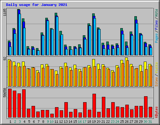 Daily usage for January 2021