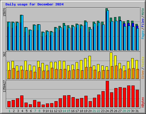 Daily usage for December 2024