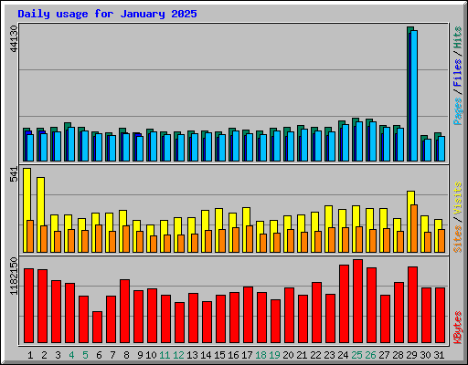 Daily usage for January 2025