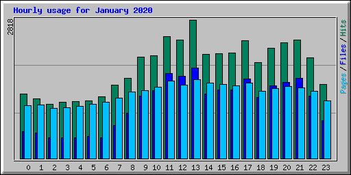 Hourly usage for January 2020