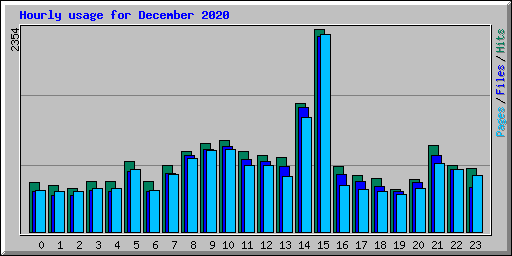 Hourly usage for December 2020