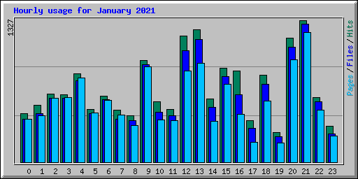 Hourly usage for January 2021