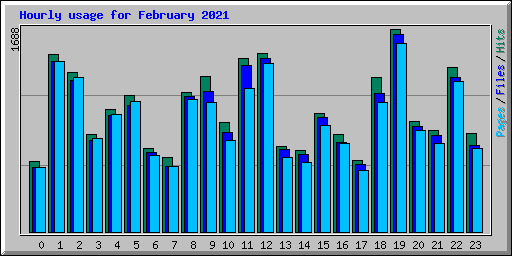 Hourly usage for February 2021