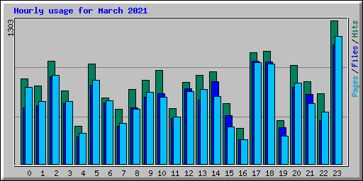 Hourly usage for March 2021