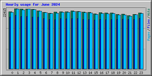 Hourly usage for June 2024