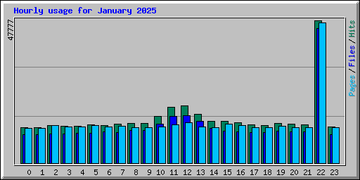 Hourly usage for January 2025