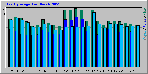 Hourly usage for March 2025