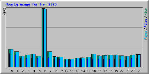 Hourly usage for May 2025