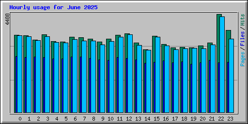 Hourly usage for June 2025