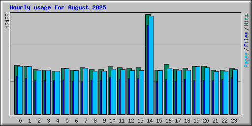 Hourly usage for August 2025